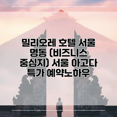 밀리오레 호텔 서울 명동 (비즈니스 중심지) 서울 아고다 특가 예약노하우