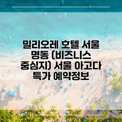 밀리오레 호텔 서울 명동 (비즈니스 중심지) 서울 아고다 특가 예약정보