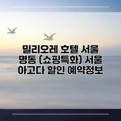 밀리오레 호텔 서울 명동 (쇼핑특화) 서울 아고다 할인 예약정보