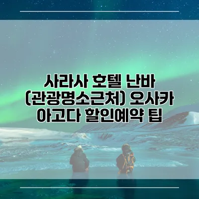사라사 호텔 난바 (관광명소근처) 오사카 아고다 할인예약 팁