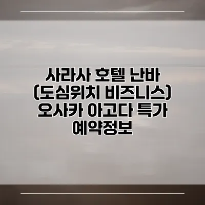 사라사 호텔 난바 (도심위치 비즈니스) 오사카 아고다 특가 예약정보