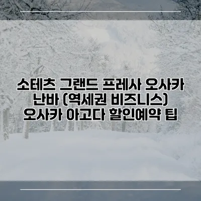 소테츠 그랜드 프레사 오사카 난바 (역세권 비즈니스) 오사카 아고다 할인예약 팁