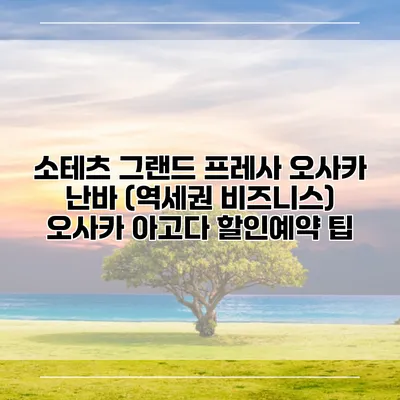 소테츠 그랜드 프레사 오사카 난바 (역세권 비즈니스) 오사카 아고다 할인예약 팁