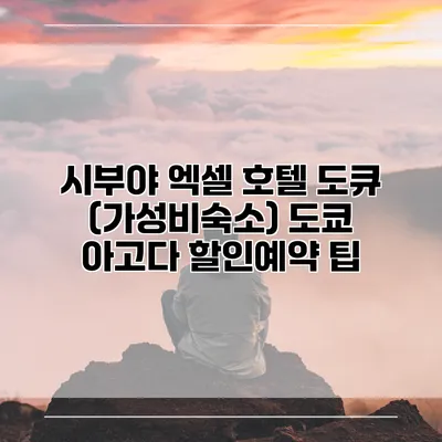 시부야 엑셀 호텔 도큐 (가성비숙소) 도쿄 아고다 할인예약 팁