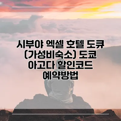 시부야 엑셀 호텔 도큐 (가성비숙소) 도쿄 아고다 할인코드 예약방법