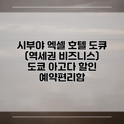 시부야 엑셀 호텔 도큐 (역세권 비즈니스) 도쿄 아고다 할인 예약편리함