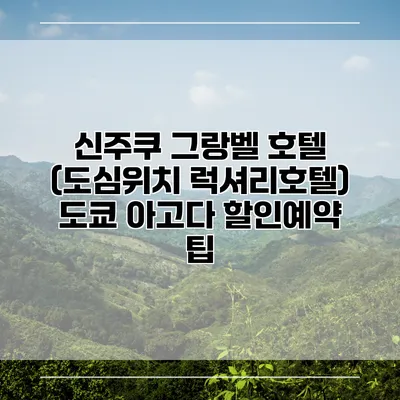 신주쿠 그랑벨 호텔 (도심위치 럭셔리호텔) 도쿄 아고다 할인예약 팁