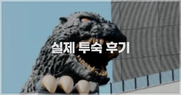 💬 실제 투숙 후기