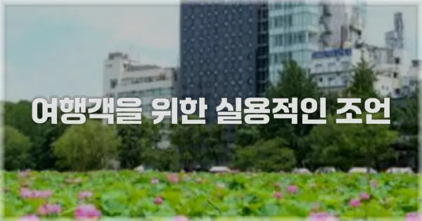 여행객을 위한 실용적인 조언