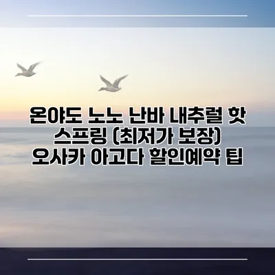 온야도 노노 난바 내추럴 핫 스프링 (최저가 보장) 오사카 아고다 할인예약 팁