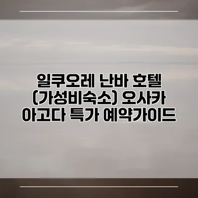 일쿠오레 난바 호텔 (가성비숙소) 오사카 아고다 특가 예약가이드
