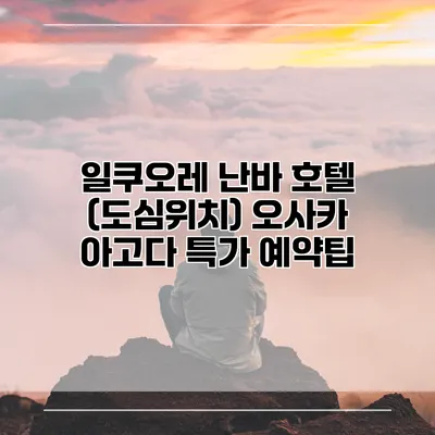 일쿠오레 난바 호텔 (도심위치) 오사카 아고다 특가 예약팁