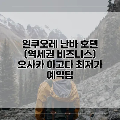 일쿠오레 난바 호텔 (역세권 비즈니스) 오사카 아고다 최저가 예약팁
