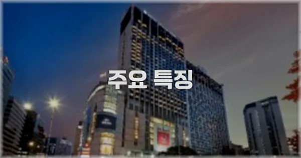 ✨ 주요 특징