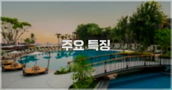 ✨ 주요 특징