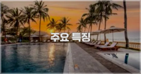 ✨ 주요 특징