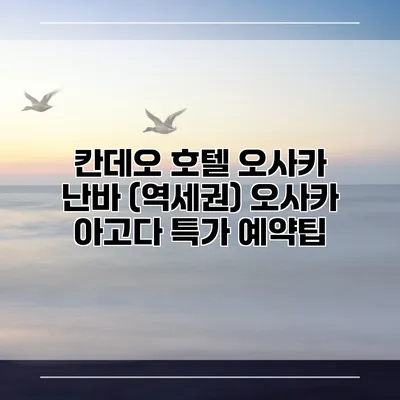 칸데오 호텔 오사카 난바 (역세권) 오사카 아고다 특가 예약팁