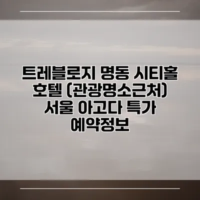 트레블로지 명동 시티홀 호텔 (관광명소근처) 서울 아고다 특가 예약정보