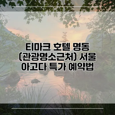 티마크 호텔 명동 (관광명소근처) 서울 아고다 특가 예약법