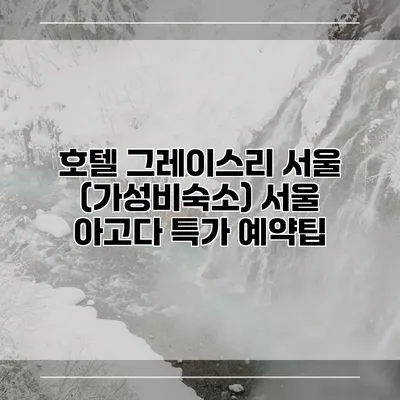 호텔 그레이스리 서울 (가성비숙소) 서울 아고다 특가 예약팁