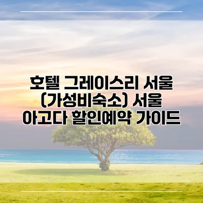 호텔 그레이스리 서울 (가성비숙소) 서울 아고다 할인예약 가이드