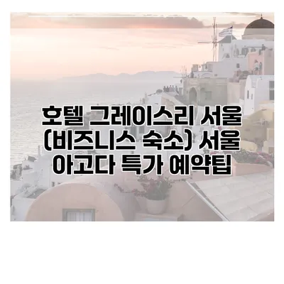 호텔 그레이스리 서울 (비즈니스 숙소) 서울 아고다 특가 예약팁