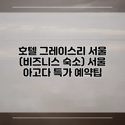 호텔 그레이스리 서울 (비즈니스 숙소) 서울 아고다 특가 예약팁