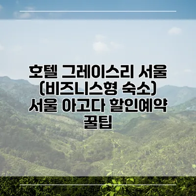 호텔 그레이스리 서울 (비즈니스형 숙소) 서울 아고다 할인예약 꿀팁