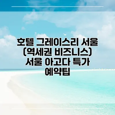 호텔 그레이스리 서울 (역세권 비즈니스) 서울 아고다 특가 예약팁