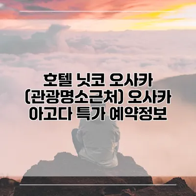 호텔 닛코 오사카 (관광명소근처) 오사카 아고다 특가 예약정보