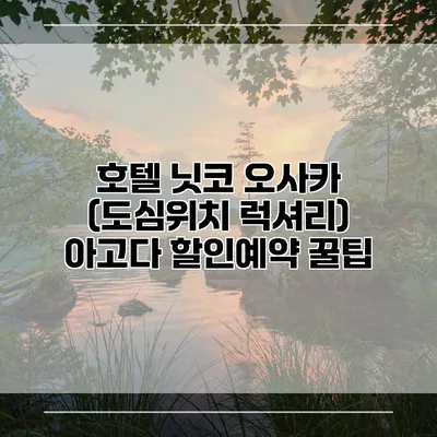 호텔 닛코 오사카 (도심위치 럭셔리) 아고다 할인예약 꿀팁