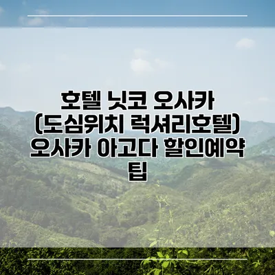 호텔 닛코 오사카 (도심위치 럭셔리호텔) 오사카 아고다 할인예약 팁