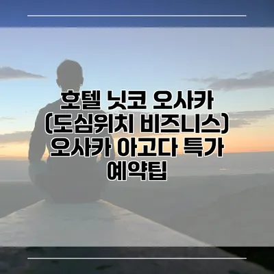 호텔 닛코 오사카 (도심위치 비즈니스) 오사카 아고다 특가 예약팁