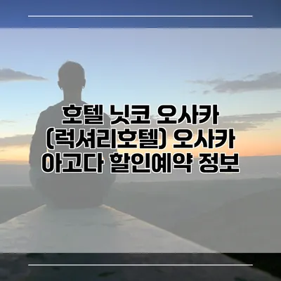 호텔 닛코 오사카 (럭셔리호텔) 오사카 아고다 할인예약 정보