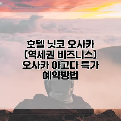 호텔 닛코 오사카 (역세권 비즈니스) 오사카 아고다 특가 예약방법