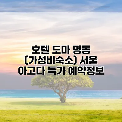 호텔 도마 명동 (가성비숙소) 서울 아고다 특가 예약정보