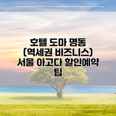 호텔 도마 명동 (역세권 비즈니스) 서울 아고다 할인예약 팁