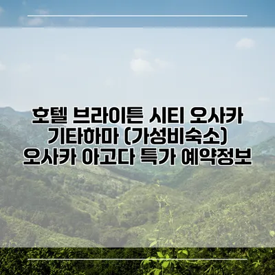 호텔 브라이튼 시티 오사카 기타하마 (가성비숙소) 오사카 아고다 특가 예약정보