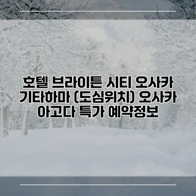 호텔 브라이튼 시티 오사카 기타하마 (도심위치) 오사카 아고다 특가 예약정보