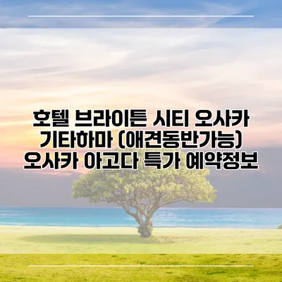 호텔 브라이튼 시티 오사카 기타하마 (애견동반가능) 오사카 아고다 특가 예약정보