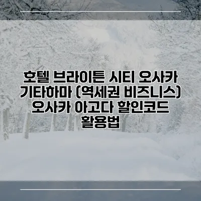 호텔 브라이튼 시티 오사카 기타하마 (역세권 비즈니스) 오사카 아고다 할인코드 활용법