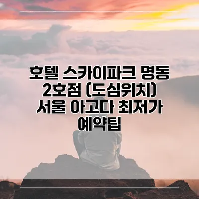 호텔 스카이파크 명동 2호점 (도심위치) 서울 아고다 최저가 예약팁