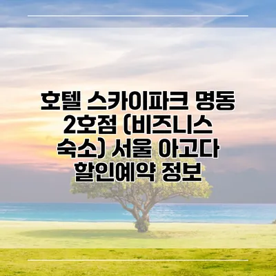 호텔 스카이파크 명동 2호점 (비즈니스 숙소) 서울 아고다 할인예약 정보