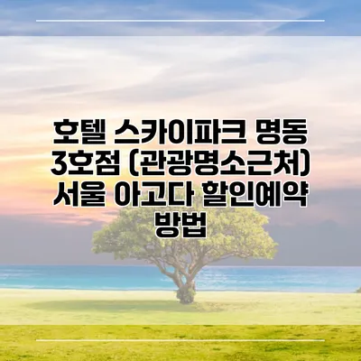 호텔 스카이파크 명동 3호점 (관광명소근처) 서울 아고다 할인예약 방법