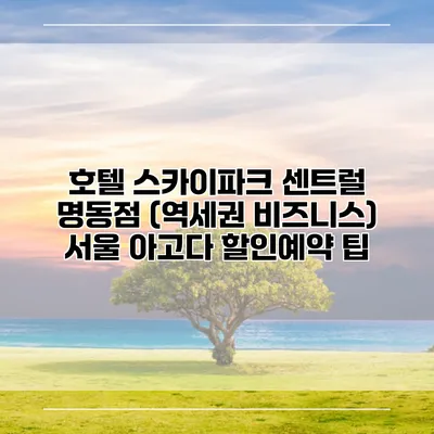 호텔 스카이파크 센트럴 명동점 (역세권 비즈니스) 서울 아고다 할인예약 팁