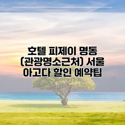 호텔 피제이 명동 (관광명소근처) 서울 아고다 할인 예약팁